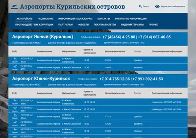 Снимок главной страницы arp-kurily.ru