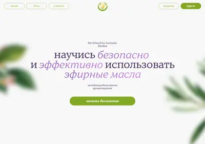 Снимок главной страницы aromaticstudies.ru