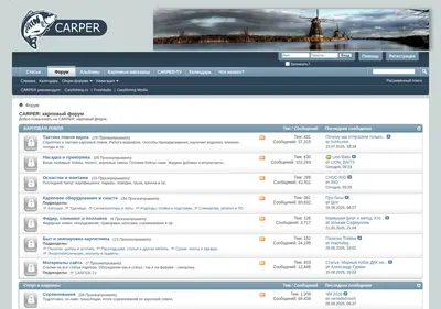 Снимок главной страницы carper.su