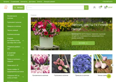 Снимок главной страницы cherenok78.ru