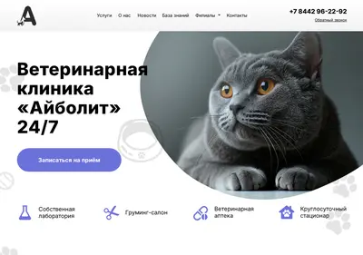 Снимок главной страницы aibolit34.ru