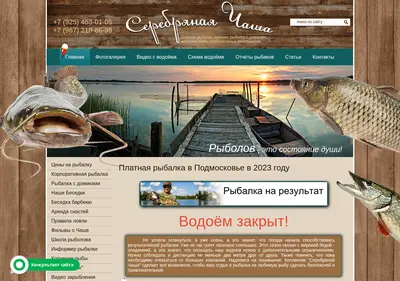 Снимок главной страницы chasha.su