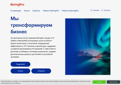 Снимок главной страницы beringpro.ru