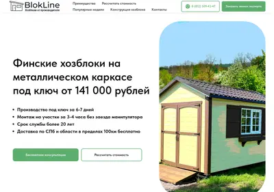 Снимок главной страницы blokline.ru
