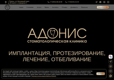 Снимок главной страницы adonis72.ru