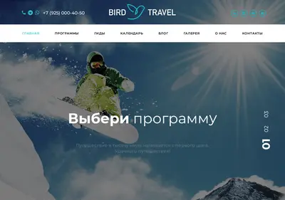 Снимок главной страницы birdtravel.ru
