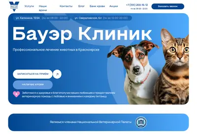 Снимок главной страницы bauerclinic.ru