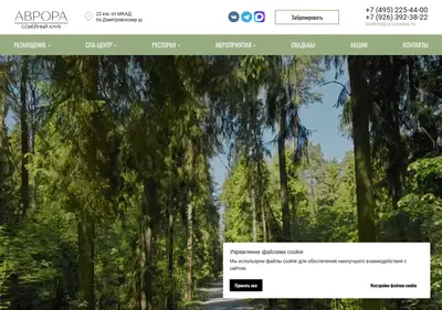 Снимок главной страницы avroraspa.ru
