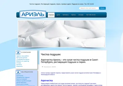 Снимок главной страницы ariel-neva.ru