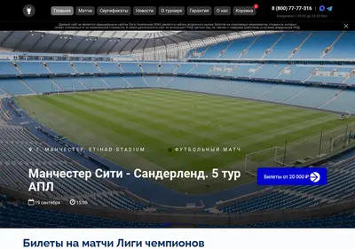 Снимок главной страницы championsleague-ticket.ru