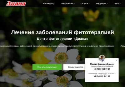 Снимок главной страницы buraev.ru