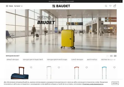 Снимок главной страницы baudet.ru