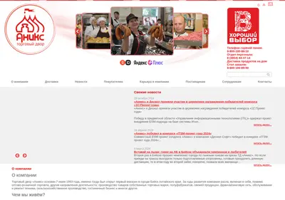 Снимок главной страницы anixtd.ru