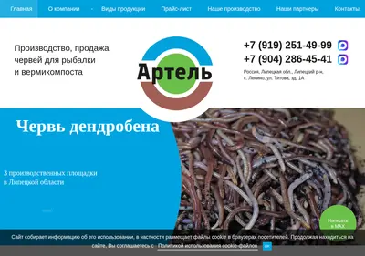 Снимок главной страницы artel-rybalka.ru