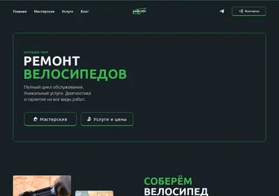 Снимок главной страницы bikecheck.ru