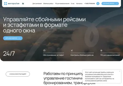 Снимок главной страницы aeropulse.ru
