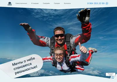 Снимок главной страницы 3200sky.ru