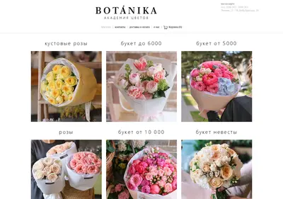 Снимок главной страницы botanika-krsk.ru