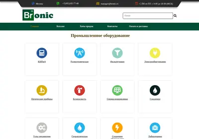Снимок главной страницы bronic.ru