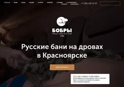 Снимок главной страницы bobry-bani.ru