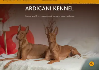 Снимок главной страницы ardicani.ru
