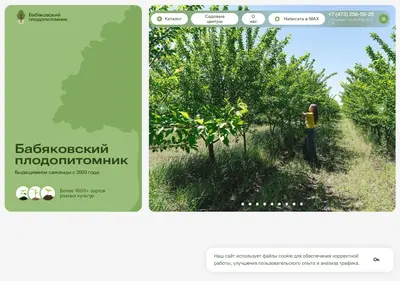 Снимок главной страницы babyakpitomnik.ru