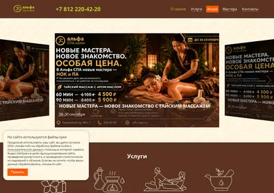 Снимок главной страницы alfa-spa.ru