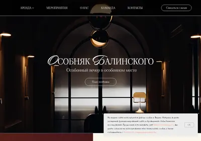 Снимок главной страницы balinskogo.ru