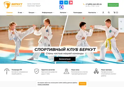 Снимок главной страницы berkut-csp.ru