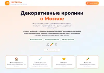 Снимок главной страницы 2krolika.ru