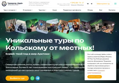 Снимок главной страницы borey-murmansk.ru