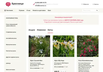 Снимок главной страницы brosnica.ru