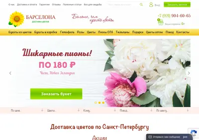 Снимок главной страницы 9046065.ru