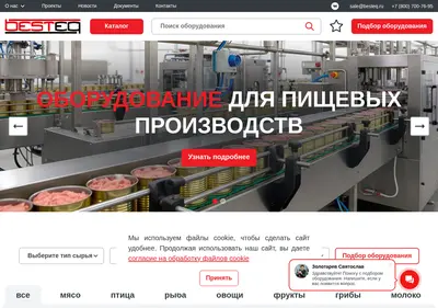 Снимок главной страницы besteq-engineering.ru
