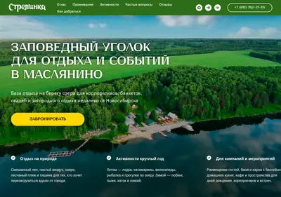 Снимок главной страницы strelinka.su