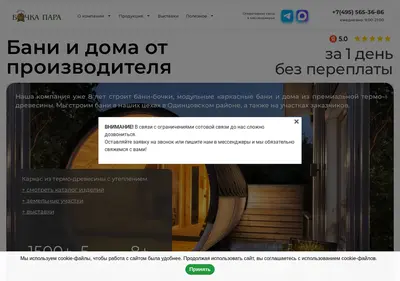Снимок главной страницы bochkapara.ru