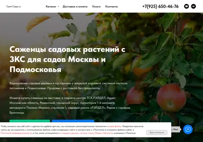 Снимок главной страницы 3-sada.ru