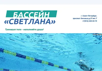 Снимок главной страницы basseinsvetlanaspb.ru