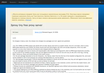 Снимок главной страницы 3proxy.ru