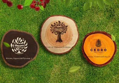 Снимок главной страницы alberogroup.ru