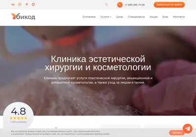 Снимок главной страницы bcode.ru