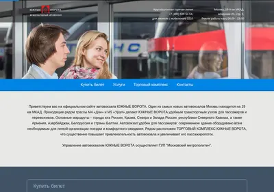 Снимок главной страницы busterminal.ru