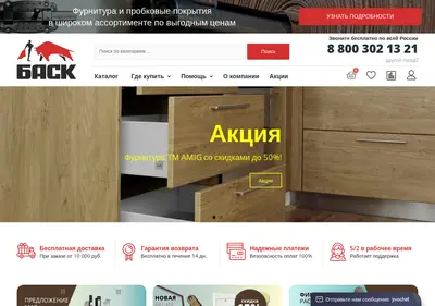 Снимок главной страницы bask.su
