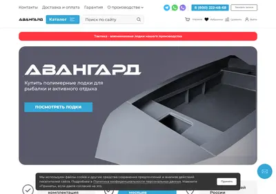Снимок главной страницы avangard-boat.ru