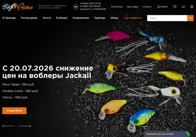 Снимок главной страницы biggame.ru