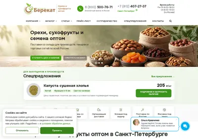 Снимок главной страницы berekat.ru