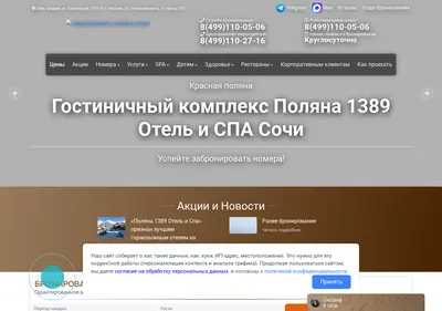 Снимок главной страницы 1389-polyana-hotel.ru