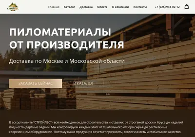Снимок главной страницы stroyles.su