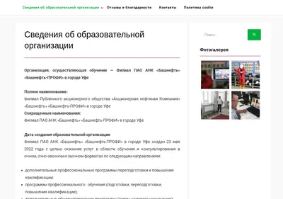 Снимок главной страницы bnprofi.ru