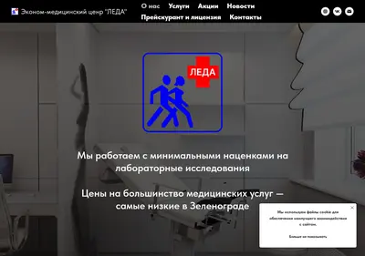 Снимок главной страницы leda.su
